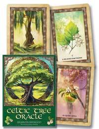 Oracle Cards Celtic Tree Oracle by Sharlyn Hidalgo