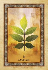 Oracle Cards Celtic Tree Oracle by Sharlyn Hidalgo and Jimmy Manton