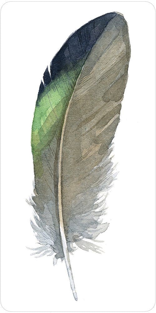 Oracle Cards Divine Feather Messenger by Alison DeNicola & David Scheirer