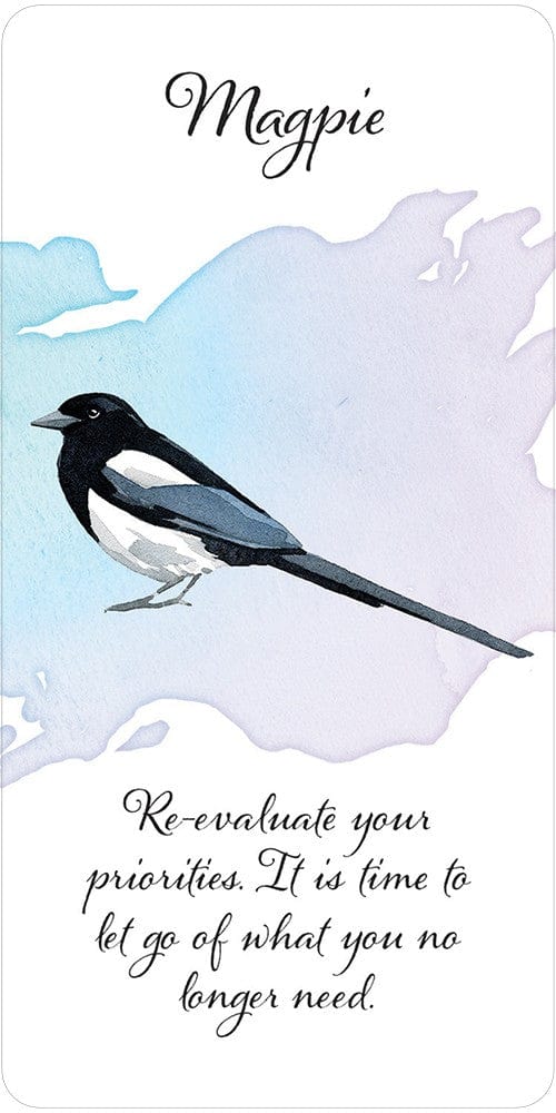 Oracle Cards Divine Feather Messenger by Alison DeNicola & David Scheirer