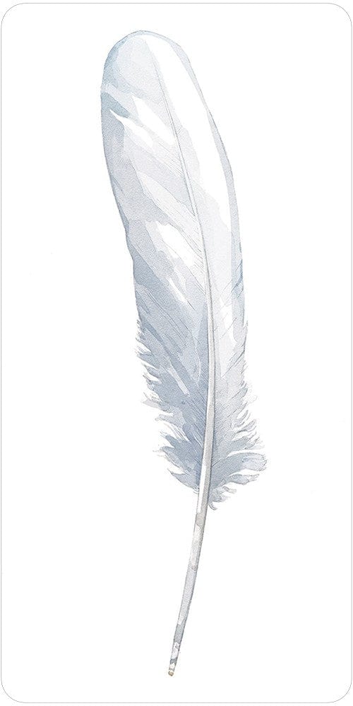 Oracle Cards Divine Feather Messenger by Alison DeNicola & David Scheirer