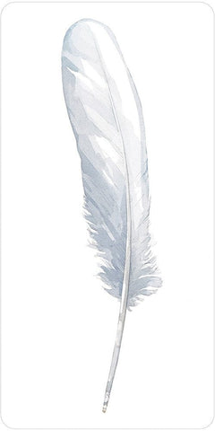 Divine Feather Messenger by Alison DeNicola & David Scheirer