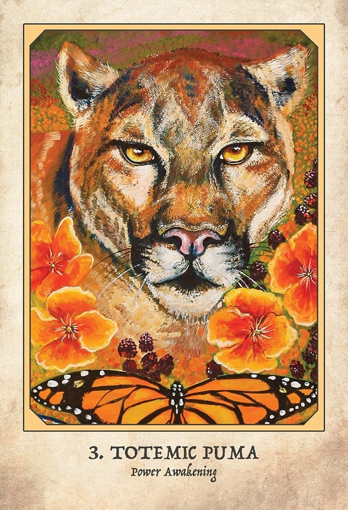 Oracle Cards Earth Warriors Oracle by Alana Fairchild