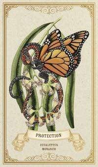 Oracle Cards Enchanted Blossoms Empowerment Oracle by Carla Morrow