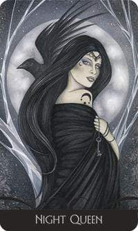 Oracle Cards Enchanted Oracle by Jessica Galbreth, Barbara Moore