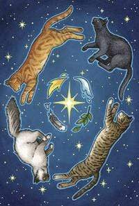 Oracle Cards Everyday Witch Oracle by Deborah Blake, Elisabeth Alba