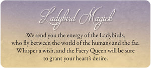 Oracle Cards Faery Whispers Oracle Cards: Magickal Messages from the Realm of Enchantment by Lucy Cavendish