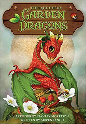 Oracle Cards Field Guide to Garden Dragons by Morrison & Lynch