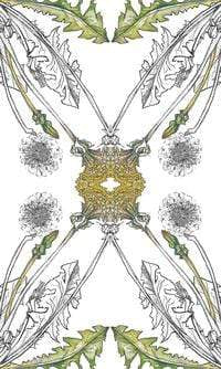 Oracle Cards Hedgewitch Botanical Oracle by Siolo Thompson