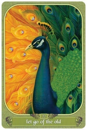 Oracle Cards Messenger Oracle by Ravynne Phelan | 2012 Version