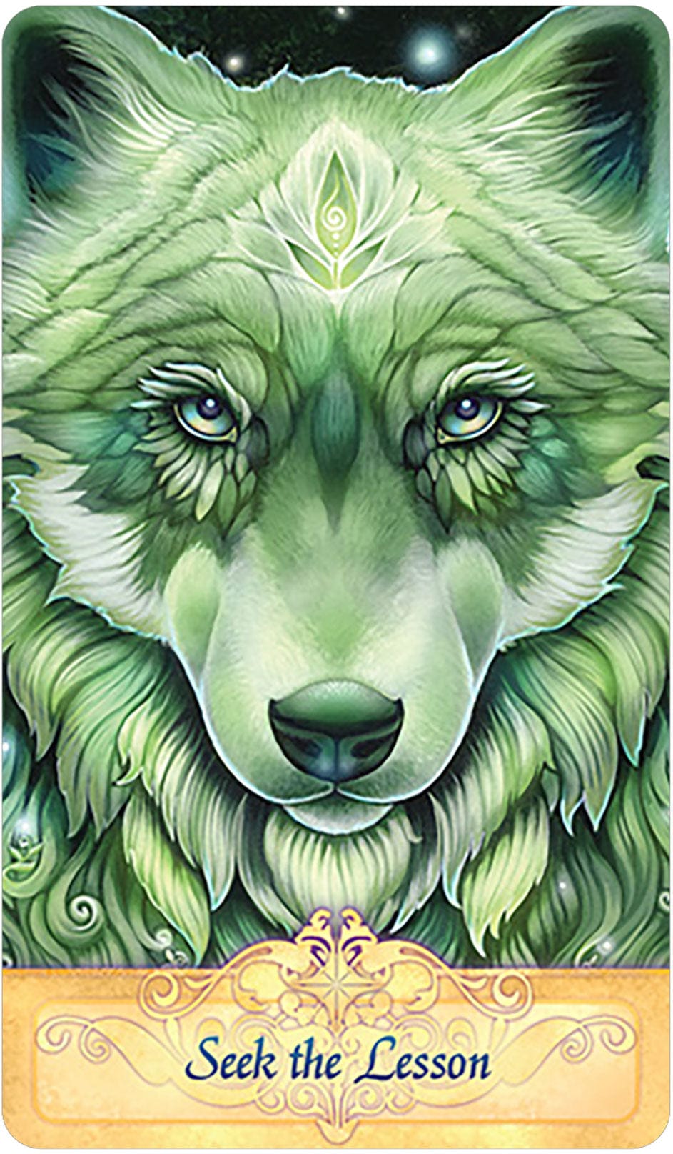 Oracle Cards Messenger Oracle by Ravynne Phelan | 2021 Version