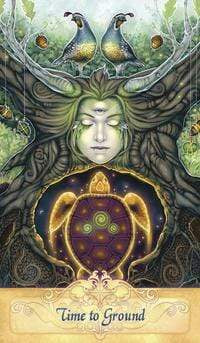 Oracle Cards Messenger Oracle New Edition by Ravynne Phelan