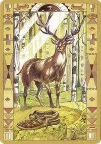 Oracle Cards Native American Oracle Cards by Lo Scarabeo, Massimo Rotundo