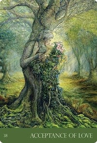 Oracle Cards Nature's Whispers Oracle Cards by Angela Hartfield & Josephine Wall