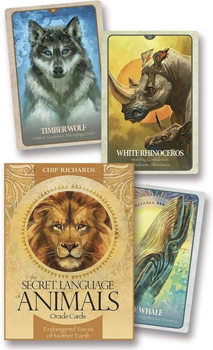 Oracle Cards Secret Language of Animals by Chip Richards