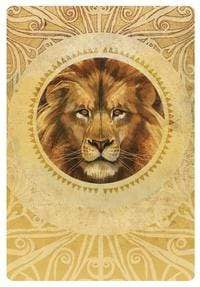 Oracle Cards Secret Language of Animals by Chip Richards