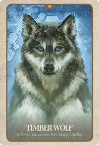 Oracle Cards Secret Language of Animals by Chip Richards