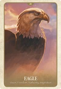 Oracle Cards Secret Language of Animals by Chip Richards