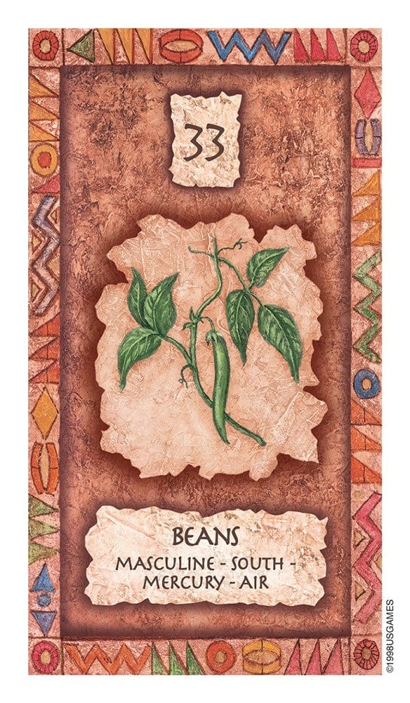 Oracle Cards Shaman Wisdom cards by Leita Richesson