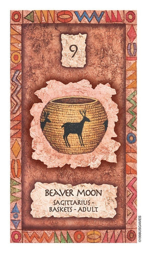 Oracle Cards Shaman Wisdom cards by Leita Richesson