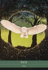 Oracle Cards Shamanic Medicine Oracle Cards