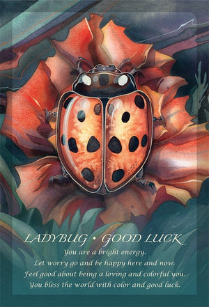 Oracle Cards Spirit of the Animals Oracle by Jody Bergsma