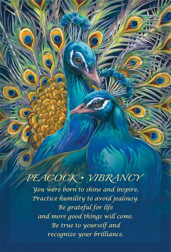 Oracle Cards Spirit of the Animals Oracle by Jody Bergsma