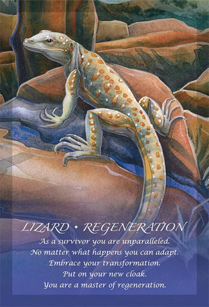 Oracle Cards Spirit of the Animals Oracle by Jody Bergsma