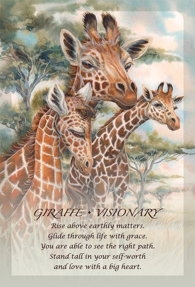 Oracle Cards Spirit of the Animals Oracle by Jody Bergsma