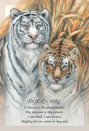 Oracle Cards Spirit of the Animals Oracle by Jody Bergsma