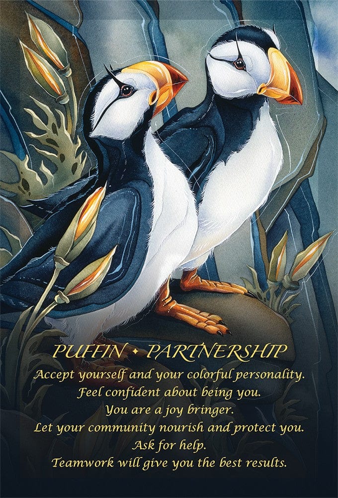 Oracle Cards Spirit of the Animals Oracle by Jody Bergsma