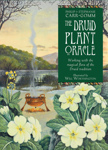 The Druid Plant Oracle - Working with the Magical Flora of the Druid Tradition by Stephanie and Phillip Carr-Gomm
