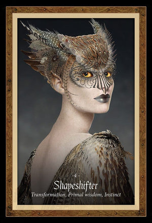 Oracle Cards The Faery Forest by Lucy Cavendish