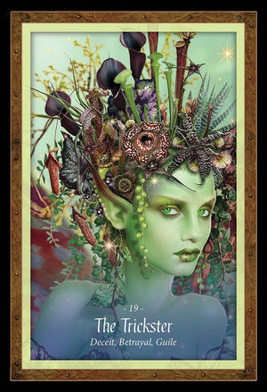 Oracle Cards The Faery Forest by Lucy Cavendish