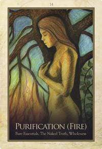 Oracle Cards The Gaia Oracle by Toni Carmine Salerno