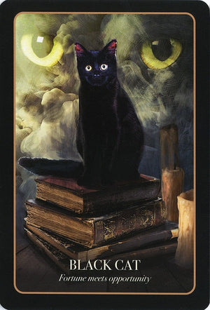 Oracle Cards The Halloween Oracle by Stacey Demarco & Jimmy Manton