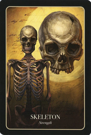 Oracle Cards The Halloween Oracle by Stacey Demarco & Jimmy Manton