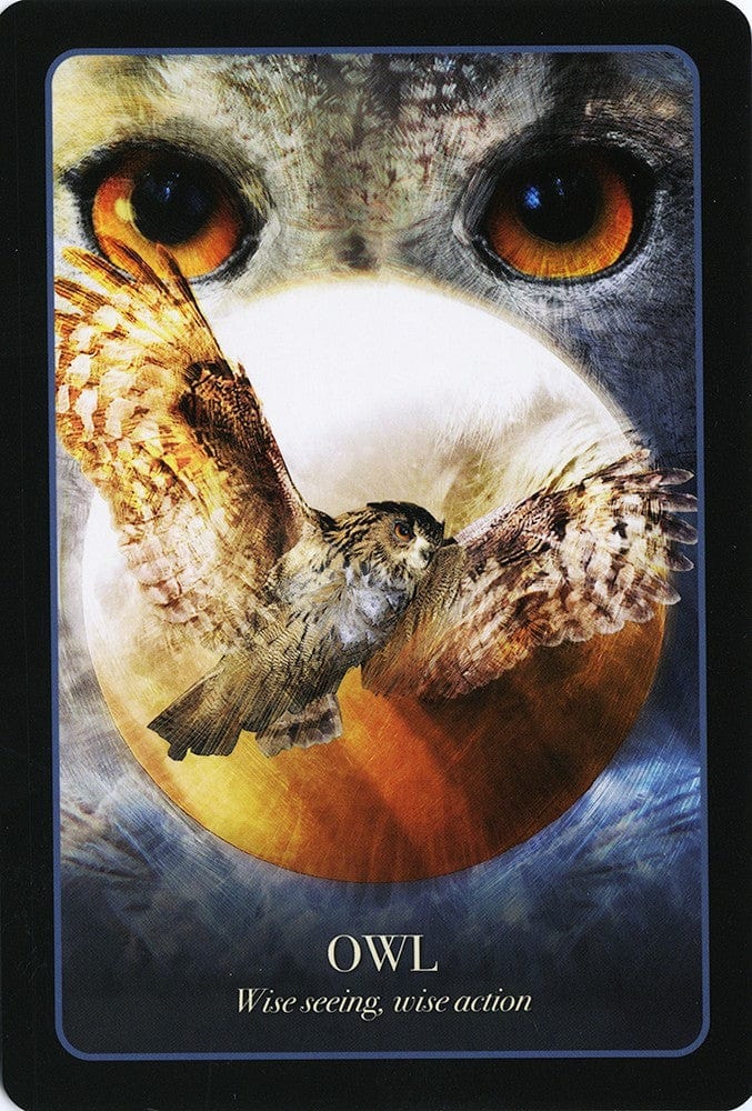Oracle Cards The Halloween Oracle by Stacey Demarco & Jimmy Manton