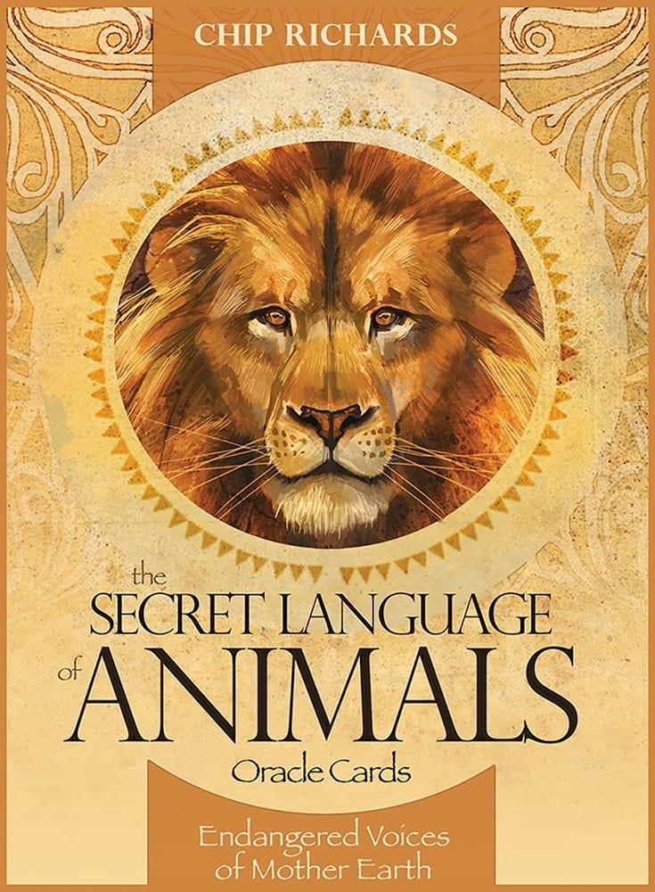 Oracle Cards The Secret Language of Animals by Chip Richards