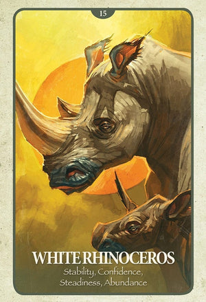 Oracle Cards The Secret Language of Animals by Chip Richards