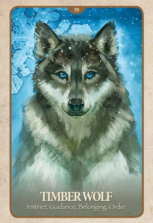 Oracle Cards The Secret Language of Animals by Chip Richards