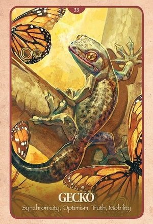 Oracle Cards The Secret Language of Animals by Chip Richards