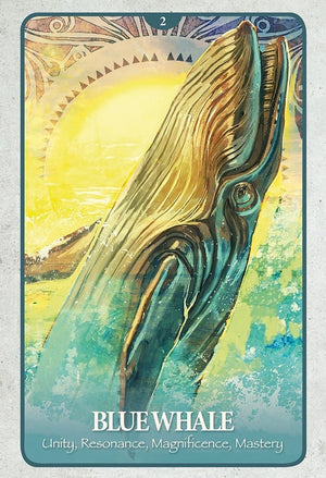 Oracle Cards The Secret Language of Animals by Chip Richards