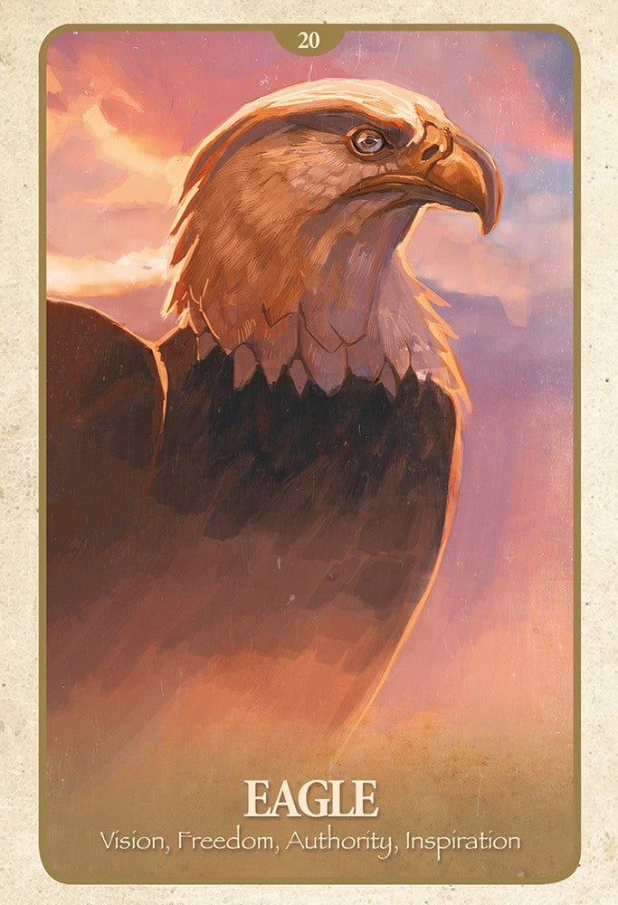 Oracle Cards The Secret Language of Animals by Chip Richards
