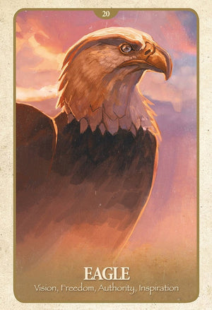 Oracle Cards The Secret Language of Animals by Chip Richards