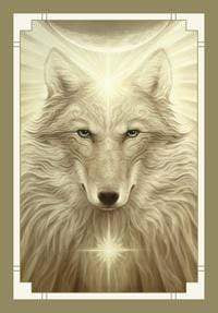 Oracle Cards White Light Oracle by Alana Fairchild, A. Andrew Gonzalez