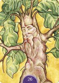 Oracle Cards Wicca Oracle by Lunaea Weatherstone, Nada Mesar, Chatriya Hemharnivbul