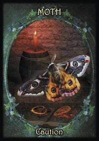 Witches' Familiars Oracle Cards by Barbara Meiklejohn-Free, Flavia Kate Peters, Kate Osborne