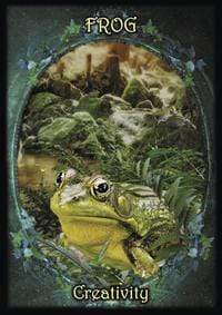 Oracle Cards Witches' Familiars Oracle Cards by Barbara Meiklejohn-Free, Flavia Kate Peters, Kate Osborne