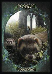 Oracle Cards Witches' Familiars Oracle Cards by Barbara Meiklejohn-Free, Flavia Kate Peters, Kate Osborne